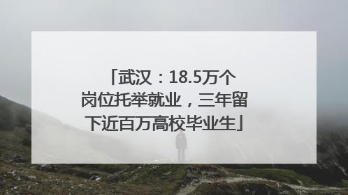武汉：18.5万个岗位托举就业，三年留下近百万高校毕业生