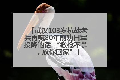 武汉103岁抗战老兵再喊80年前劝日军投降的话 “缴枪不杀，放你回家”