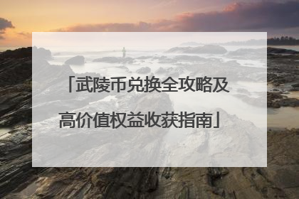 武陵币兑换全攻略及高价值权益收获指南