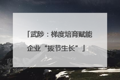 武陟：梯度培育赋能企业“拔节生长”