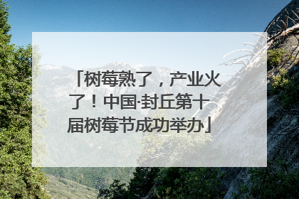 树莓熟了，产业火了！中国·封丘第十届树莓节成功举办