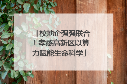 校地企强强联合！孝感高新区以算力赋能生命科学