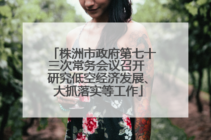 株洲市政府第七十三次常务会议召开 研究低空经济发展、大抓落实等工作