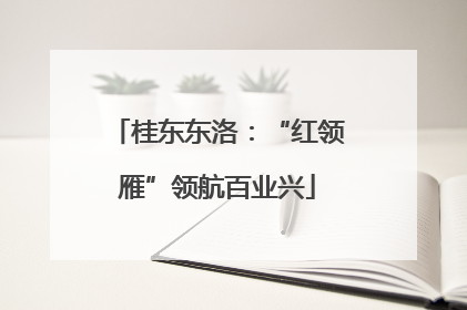 桂东东洛：“红领雁”领航百业兴