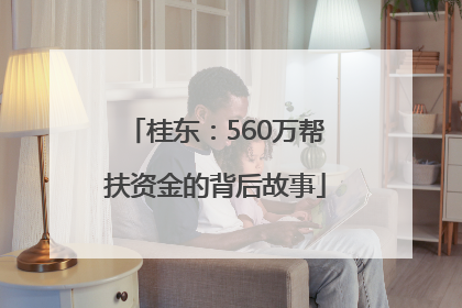 桂东：560万帮扶资金的背后故事