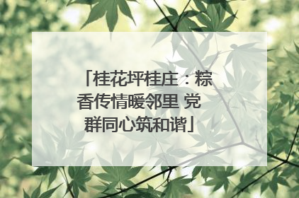 桂花坪桂庄：粽香传情暖邻里 党群同心筑和谐