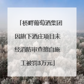 桥畔葡萄酒集团因旗下酒庄项目未经消防审查擅自施工被罚3万元