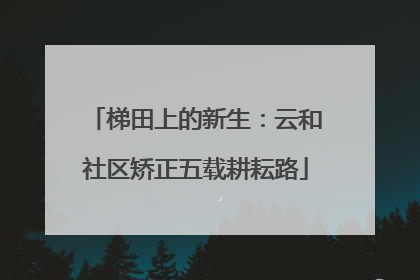梯田上的新生：云和社区矫正五载耕耘路