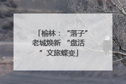榆林：“落子”老城焕新 “盘活”文旅蝶变