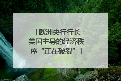 欧洲央行行长：美国主导的经济秩序“正在破裂”