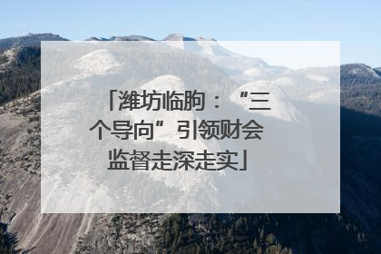 潍坊临朐：“三个导向”引领财会监督走深走实