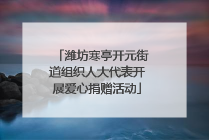 潍坊寒亭开元街道组织人大代表开展爱心捐赠活动