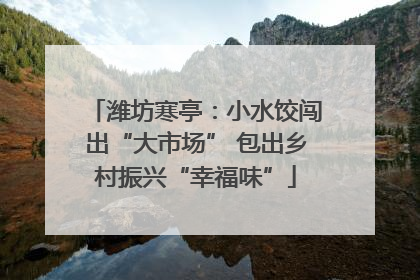 潍坊寒亭：小水饺闯出“大市场” 包出乡村振兴“幸福味”