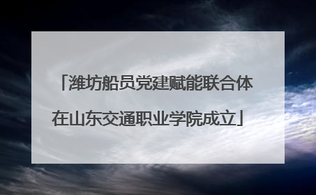 潍坊船员党建赋能联合体在山东交通职业学院成立