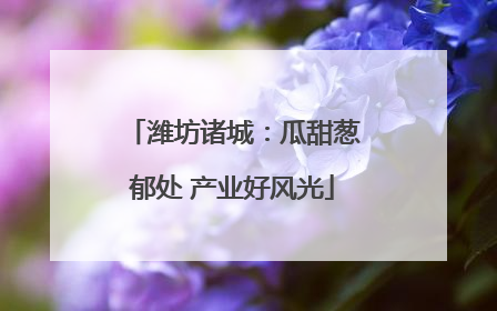潍坊诸城：瓜甜葱郁处 产业好风光