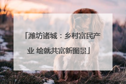 潍坊诸城：乡村富民产业 绘就共富新图景