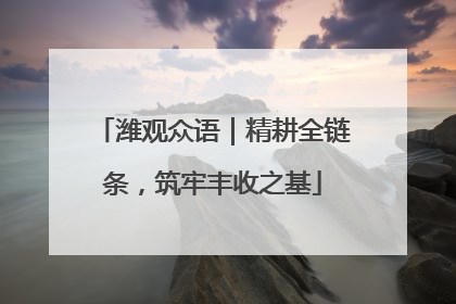 潍观众语｜精耕全链条，筑牢丰收之基