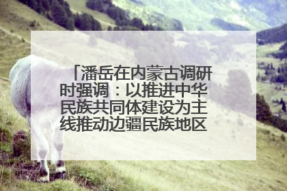潘岳在内蒙古调研时强调：以推进中华民族共同体建设为主线推动边疆民族地区高质量发展