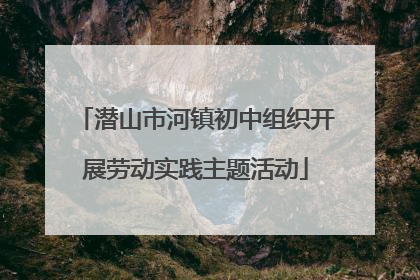 潜山市河镇初中组织开展劳动实践主题活动