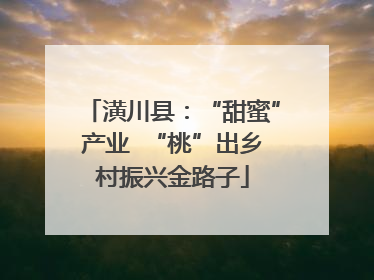 潢川县：“甜蜜”产业  “桃”出乡村振兴金路子