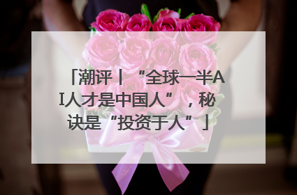 潮评丨“全球一半AI人才是中国人”，秘诀是“投资于人”