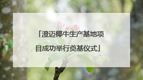澄迈椰牛生产基地项目成功举行奠基仪式