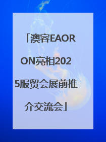 澳容EAORON亮相2025服贸会展前推介交流会