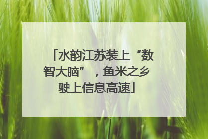 水韵江苏装上“数智大脑”，鱼米之乡驶上信息高速