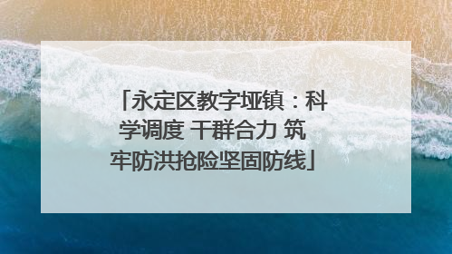 永定区教字垭镇：科学调度 干群合力 筑牢防洪抢险坚固防线