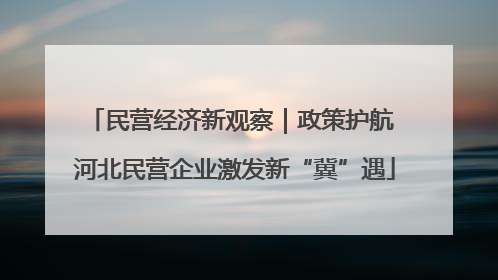 民营经济新观察｜政策护航 河北民营企业激发新“冀”遇