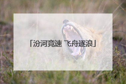 汾河竞速 飞舟逐浪