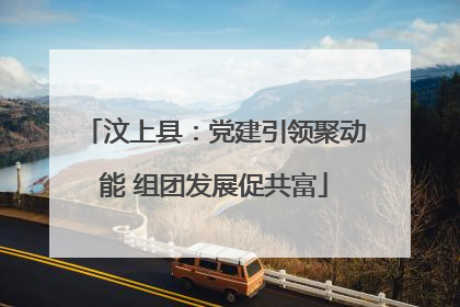 汶上县：党建引领聚动能 组团发展促共富