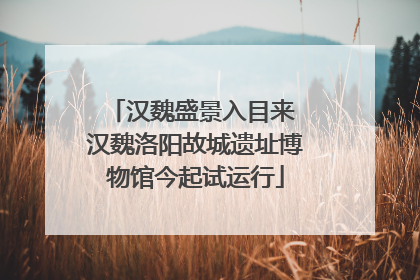 汉魏盛景入目来 汉魏洛阳故城遗址博物馆今起试运行