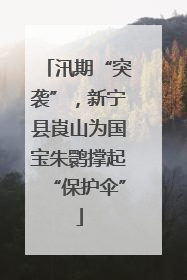 汛期“突袭”，新宁县崀山为国宝朱鹮撑起“保护伞”
