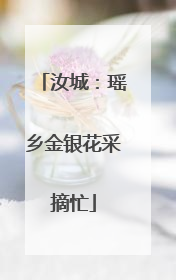 汝城：瑶乡金银花采摘忙