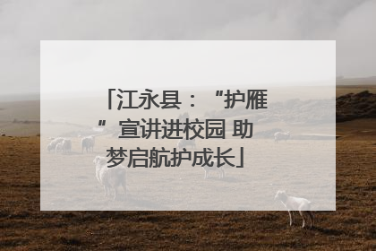江永县：“护雁”宣讲进校园 助梦启航护成长