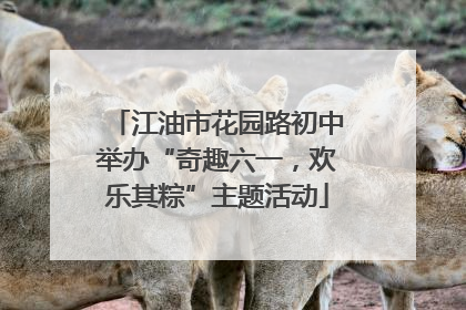 江油市花园路初中举办“奇趣六一，欢乐其粽”主题活动