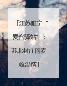 江苏睢宁“麦客驿站”：苏北村庄的麦收温情