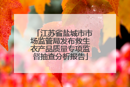 江苏省盐城市市场监管局发布救生衣产品质量专项监督抽查分析报告