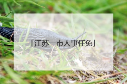 江苏一市人事任免