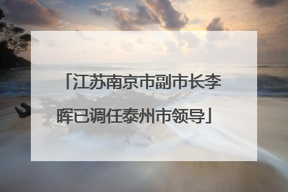 江苏南京市副市长李晖已调任泰州市领导