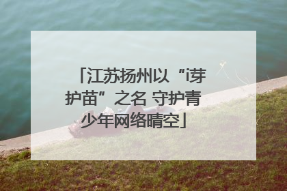 江苏扬州以“i芽护苗”之名 守护青少年网络晴空