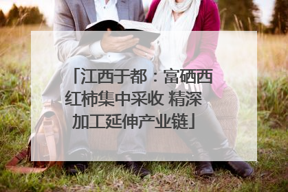 江西于都：富硒西红柿集中采收 精深加工延伸产业链