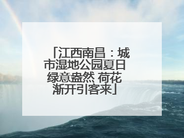 江西南昌：城市湿地公园夏日绿意盎然 荷花渐开引客来