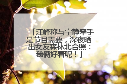 汪峰称与宁静牵手是节目需要，深夜晒出女友森林北合照：我俩好着呢！