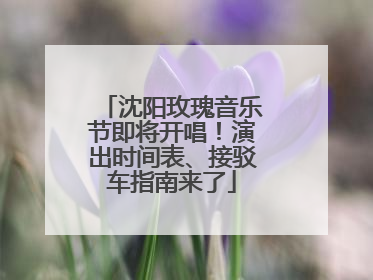 沈阳玫瑰音乐节即将开唱！演出时间表、接驳车指南来了