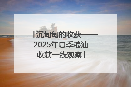 沉甸甸的收获——2025年夏季粮油收获一线观察