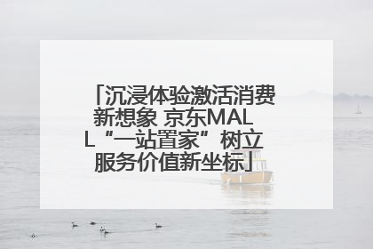 沉浸体验激活消费新想象 京东MALL“一站置家”树立服务价值新坐标