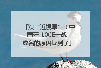 没“近视眼”！中国歼-10CE一战成名的原因找到了