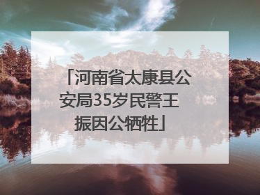 河南省太康县公安局35岁民警王振因公牺牲